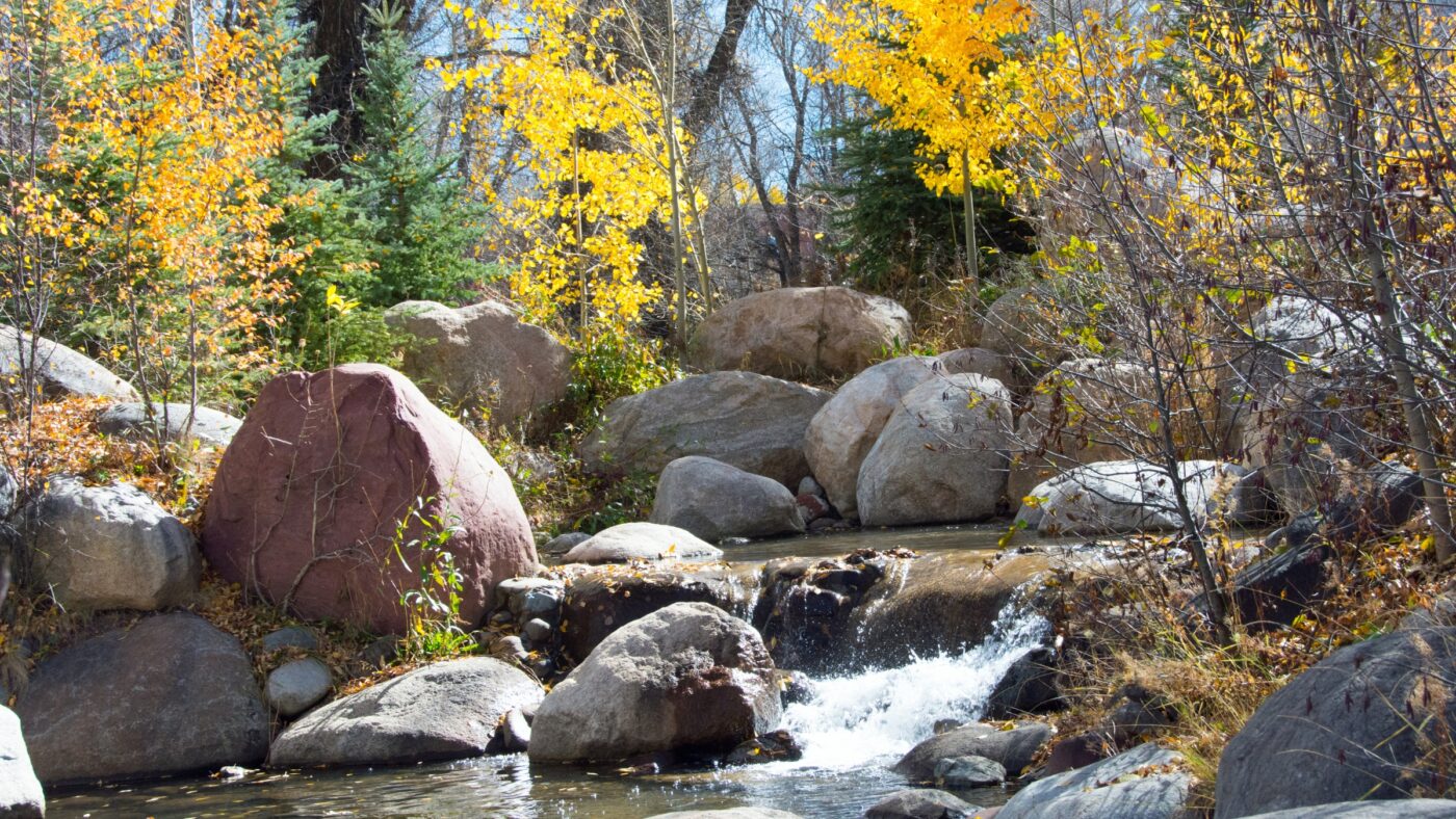 A Letter to Mother Earth