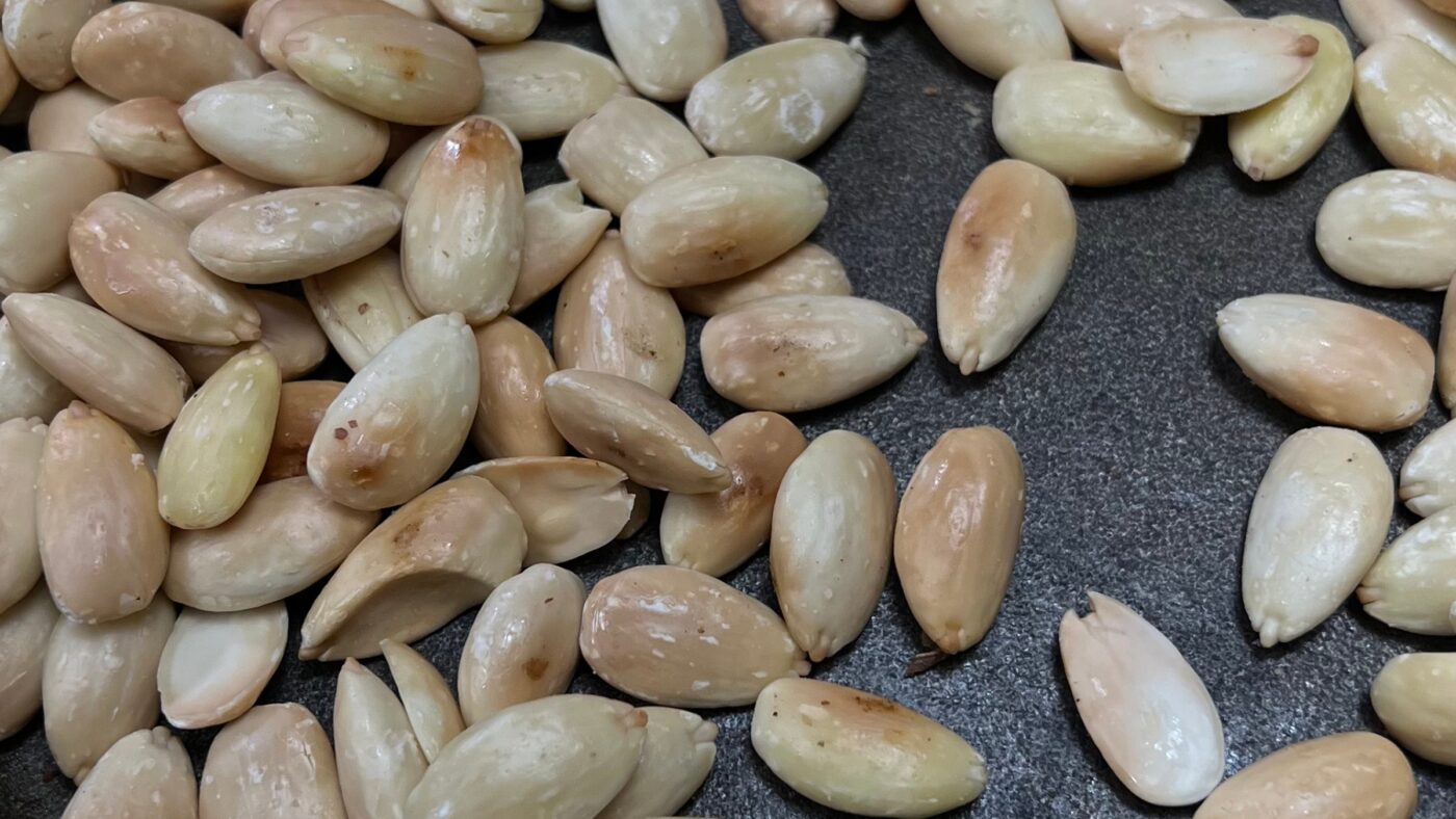 Best Backpacking Foods