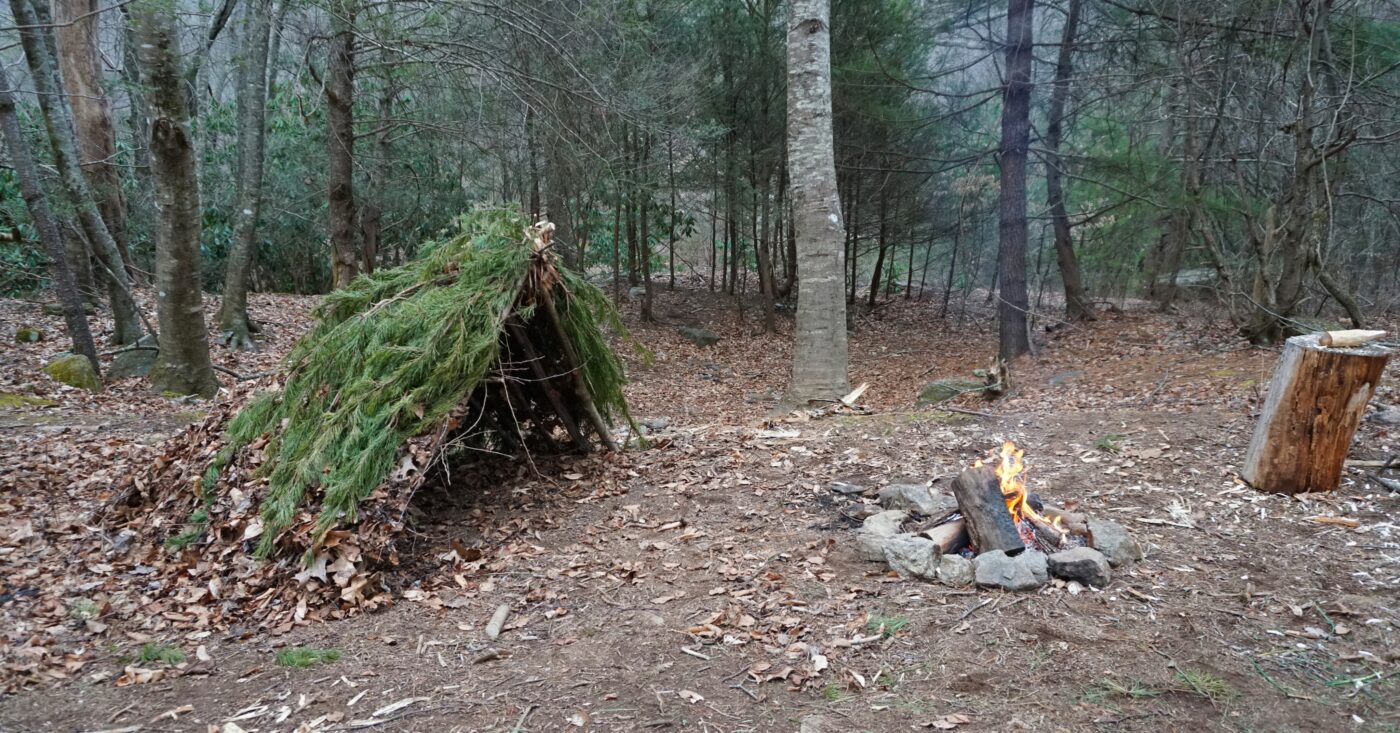 Bushcraft For Beginners