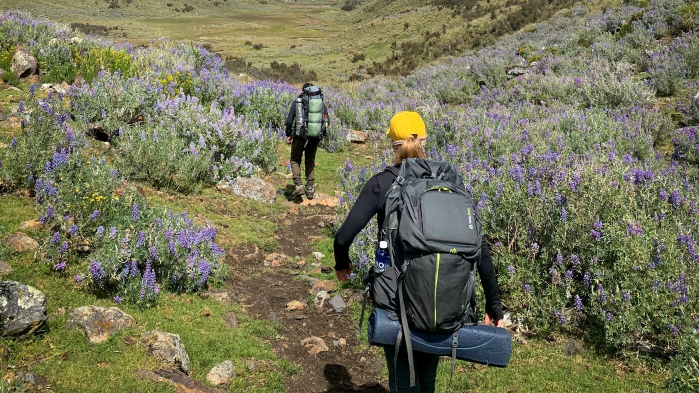 Hiking Snacks to Keep In Your Daypack