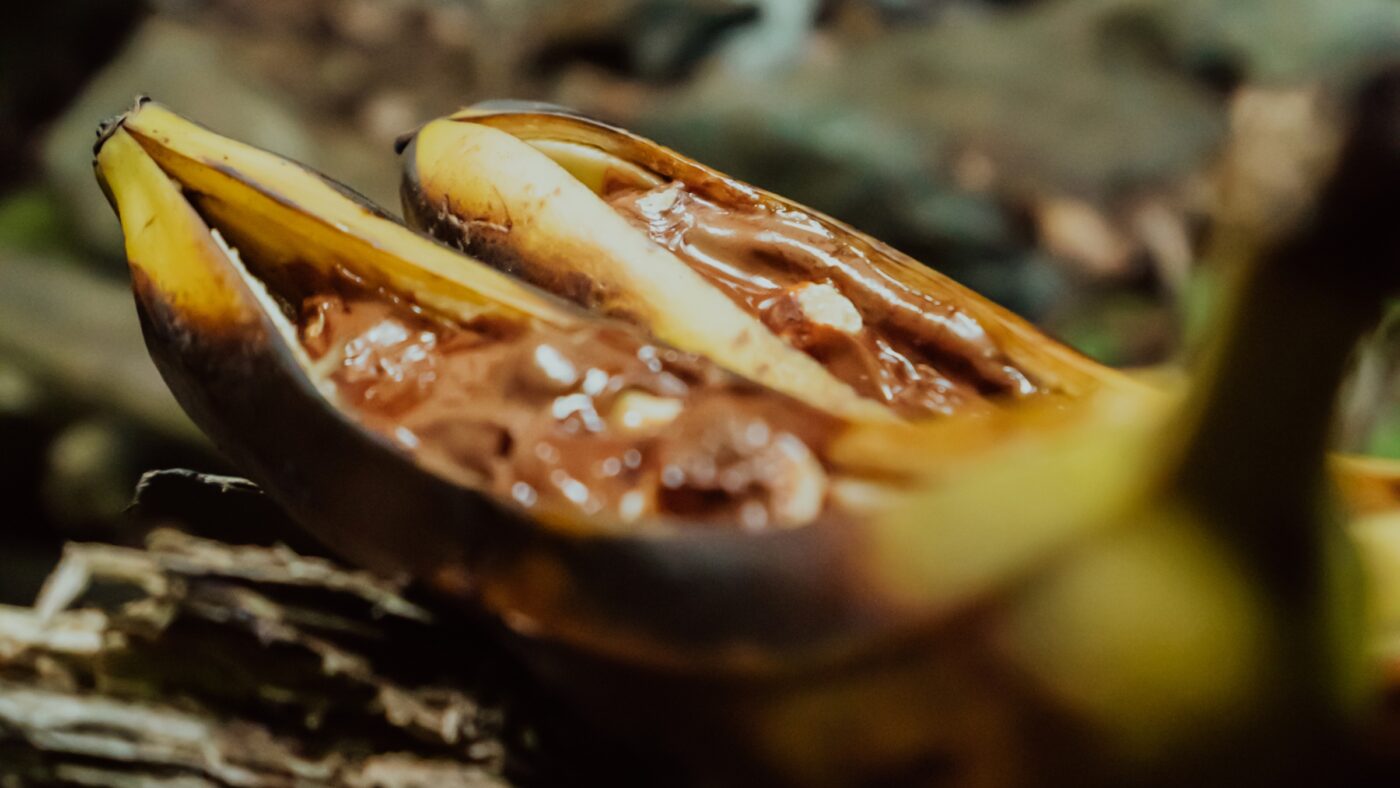 How To Make Campfire Banana Boat