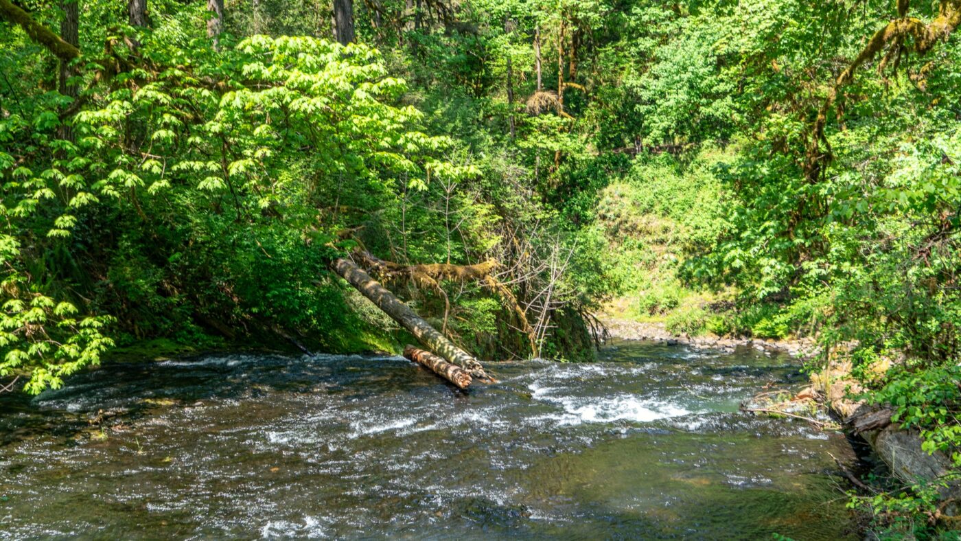 Best Trails in Pennsylvania