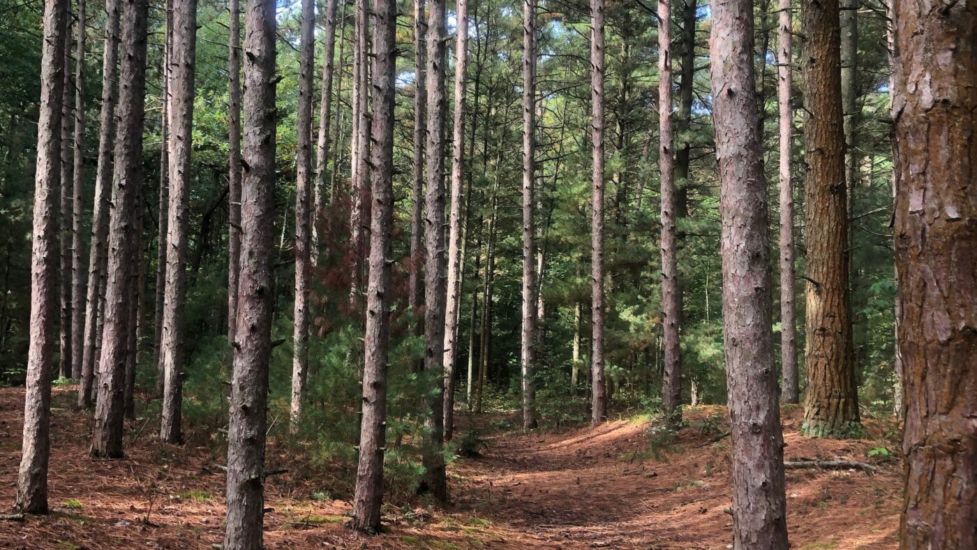 Getting lost