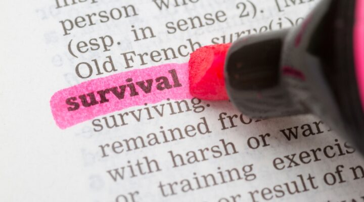 72-hour urban survival